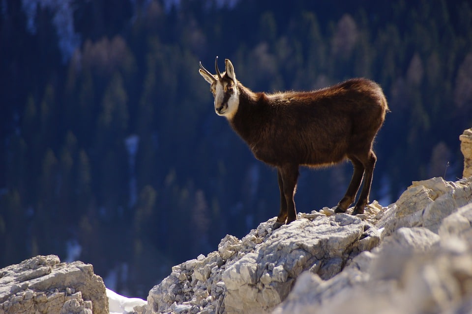 trekking randonnées voyages d'aventure
